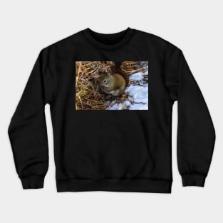 Red Squirrel. Crewneck Sweatshirt